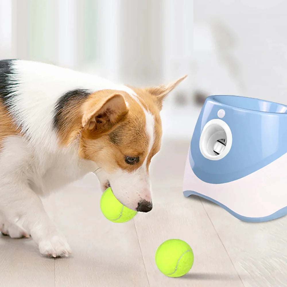 Petwino™ Ball Launcher